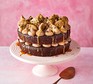 Chocolate salted caramel cookie cake