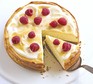 Luscious lemon baked cheesecake
